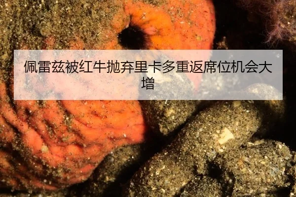 佩雷兹被红牛抛弃里卡多重返席位机会大增